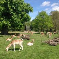 Photo taken at Richmond Park by Nicolas H. on 5/12/2013