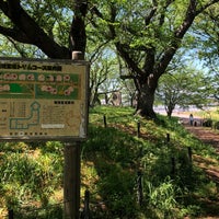 Photo taken at Gongendo Sakura Tsutsumi by coinu o. on 4/25/2024