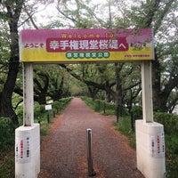 Photo taken at Gongendo Sakura Tsutsumi by coinu o. on 4/18/2024