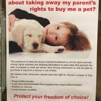 puppies n love prices