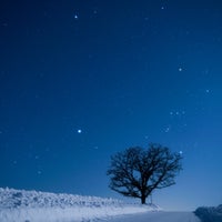 Photo taken at Seven Stars Tree by 𝐊𝐚𝐳𝐮𝐡𝐢𝐤𝐨 . on 2/19/2024