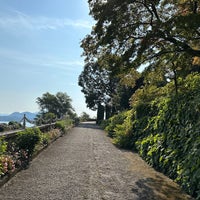 Parco della Villa Pallavicino - Park