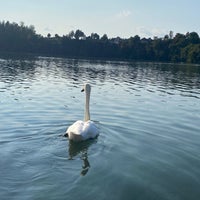 Photo taken at Zbiljsko jezero by Janez T. on 9/13/2020