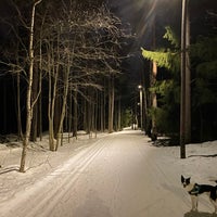 Photo taken at Kivikon metsä by Timo P. on 3/1/2021