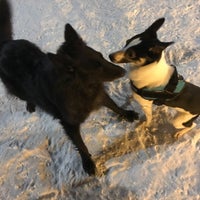 Photo taken at Viikinojanpuiston koira-aitaus by Timo P. on 3/7/2018