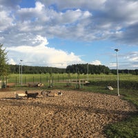 Photo taken at Viikinojanpuiston koira-aitaus by Timo P. on 8/4/2016