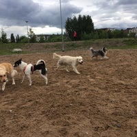 Photo taken at Viikinojanpuiston koira-aitaus by Timo P. on 7/19/2017