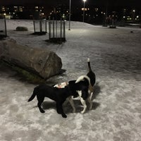 Photo taken at Viikinojanpuiston koira-aitaus by Timo P. on 2/15/2017