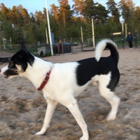 Photo taken at Viikinojanpuiston koira-aitaus by Timo P. on 9/12/2016