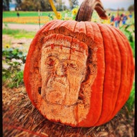 Photo taken at The Maize at the Pumpkin Patch by Karl V. on 10/25/2020
