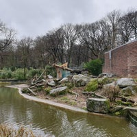 Photo taken at Zoo Duisburg by Martin R. on 2/10/2019