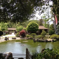 Japanese Tea Garden At Central Park Central Park 11 Tips
