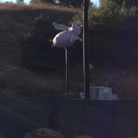 Photo taken at The Topanga Flying Pig by DT on 10/19/2012