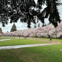 Photo taken at UW Quad by Roobs on 4/9/2023