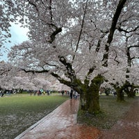 Photo taken at UW Quad by Roobs on 4/9/2023