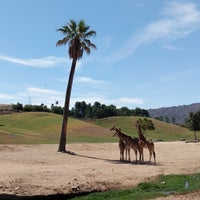Photo taken at San Diego Zoo Safari Park by Roobs on 8/3/2019