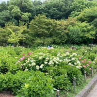 Photo taken at 茶屋ヶ坂公園 by Shigex on 6/4/2023