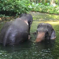Photo taken at Elephant Bathing Area by Alan T. on 11/23/2014