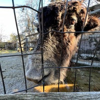 Photo taken at Stone Zoo by Corey G. on 12/4/2022