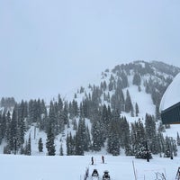 รูปภาพถ่ายที่ Alta Ski Area โดย Corey G. เมื่อ 3/8/2023