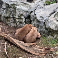 Photo taken at Stone Zoo by Corey G. on 10/1/2022