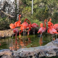 Photo taken at Stone Zoo by Corey G. on 11/11/2021