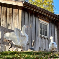 Photo taken at Riverdale Farm by María Alejandra R. on 10/25/2022