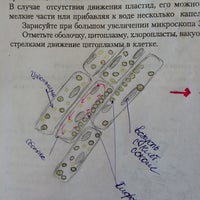 Photo taken at Кафедра медицинской биологии СПбГПМУ by Alexandra I. on 9/9/2014
