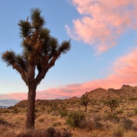 Photo taken at Joshua Tree National Park by Khalid R. on 10/5/2023