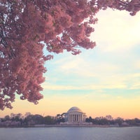 Photo taken at Cherry Blossoms by John B. on 4/12/2013
