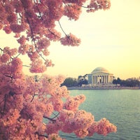 Photo taken at Cherry Blossoms by John B. on 4/12/2013