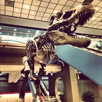 Photo taken at Pittsburgh International Airport (PIT) by Josh J. on 11/28/2012