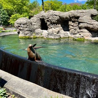 Foto tirada no(a) Prospect Park Zoo por Ronak D. em 5/6/2023