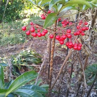 千葉県花植木センター 成田市 1 Visitor