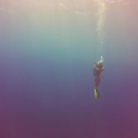 8/15/2015에 Calvin P.님이 Living The Dream Divers에서 찍은 사진