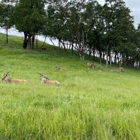 Photo taken at Wildlife Safari by Michael D. on 5/29/2022