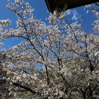 Photo taken at Higashiyama Zoo and Botanical Gardens by Yoshio O. on 4/9/2024