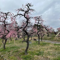 Photo taken at 荒子公園 by Yoshio O. on 3/4/2021