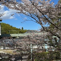 Photo taken at Higashiyama Zoo and Botanical Gardens by Yoshio O. on 4/9/2024