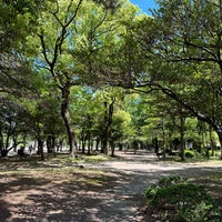 Photo taken at Tsuruma Park by Yoshio O. on 5/8/2024