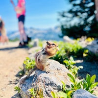 Photo taken at Mount Rainier by Melissa ♡︎ on 8/8/2022