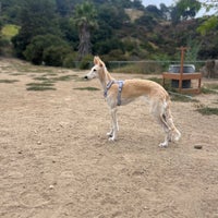 Photo taken at Laurel Canyon Dog Park by Lindsey R. on 8/11/2023