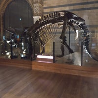 Photo taken at Dinosaur Gallery by Charles R. on 11/9/2023