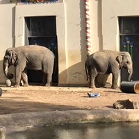 Foto diambil di Zoo Antwerpen oleh Magiel T. pada 10/28/2018