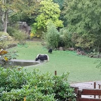 Zoologischer Garten Wuppertal Zoo Wuppertal, NordrheinWestfalen