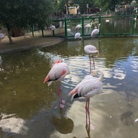 Photo taken at Зоопарк by Denis V. on 7/6/2017