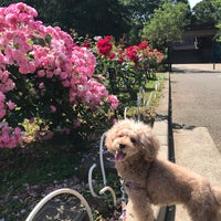 Photo taken at バラの園 by Hirotoshi M. on 5/26/2019