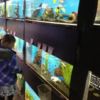 Photo taken at Fish Store by Sam B. on 1/5/2013