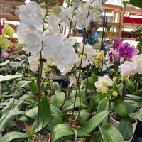 Photo taken at Urban Garden Center by pipitu on 4/23/2022