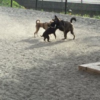 Photo taken at Capitol Hill Dog Park by Kixhead H. on 4/9/2016